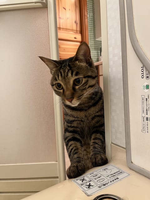 よろしくお願いします