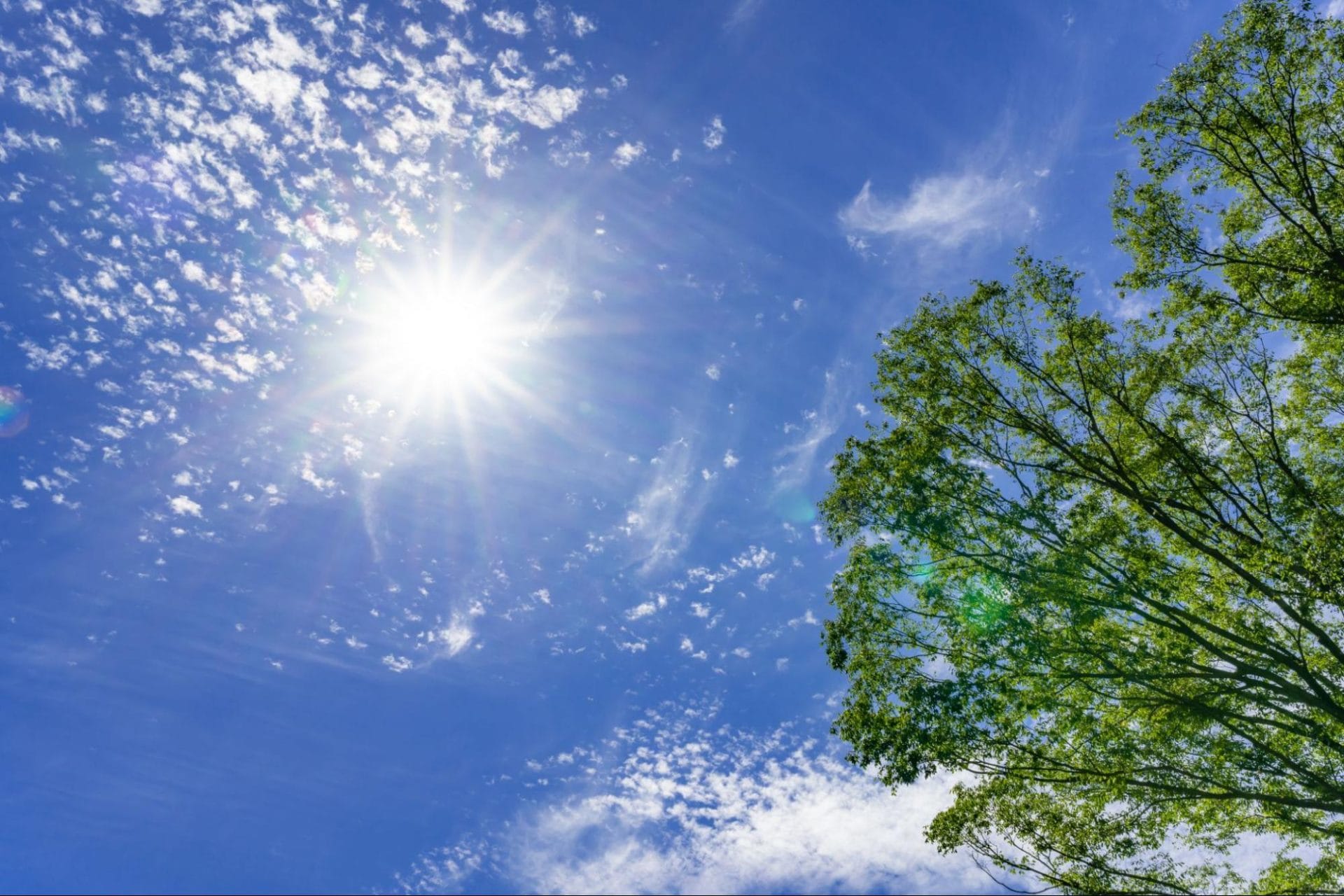 今日はいい天気ですね